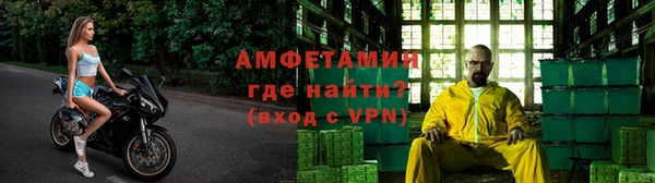 каннабис Богданович