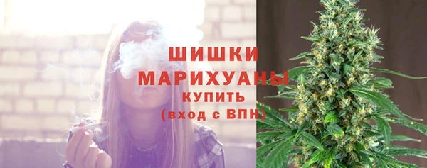 каннабис Богданович