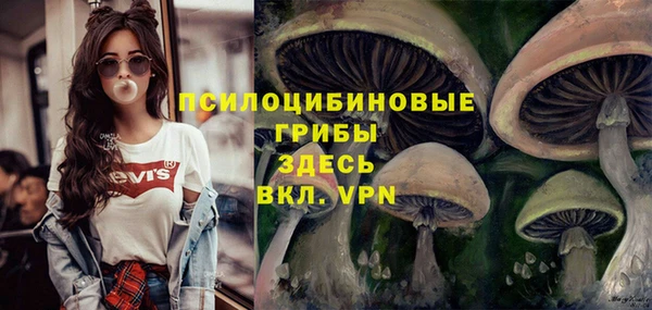 mdma Богородицк